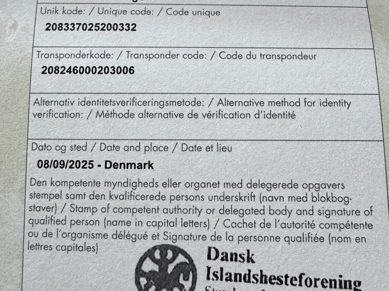 Billede 5 - Islænder