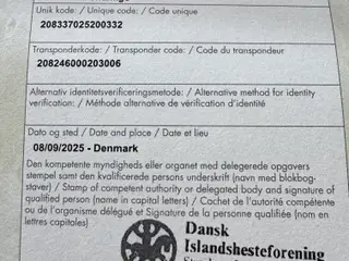 Islænder
