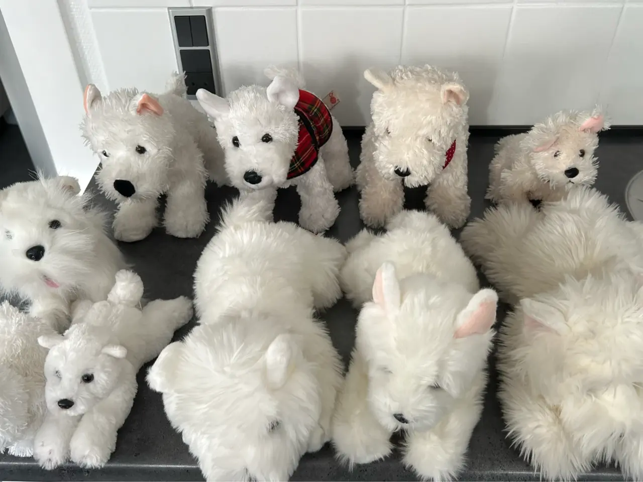 Billede 1 - Div. West Highland Terrier tøjdyr