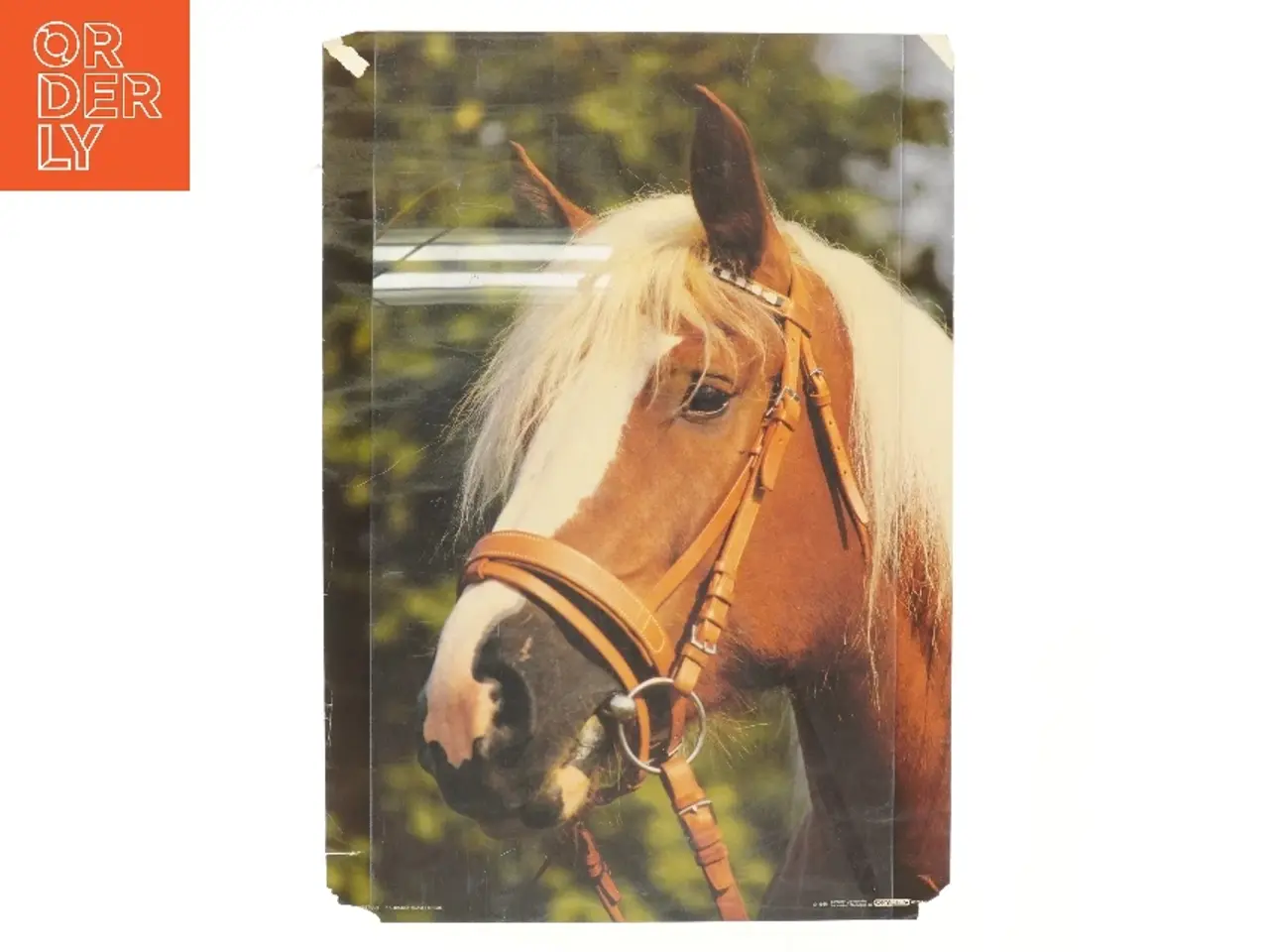 Billede 1 - Plakat med hestemotiv fra Scandecor (str. 59,5x42 cm)
