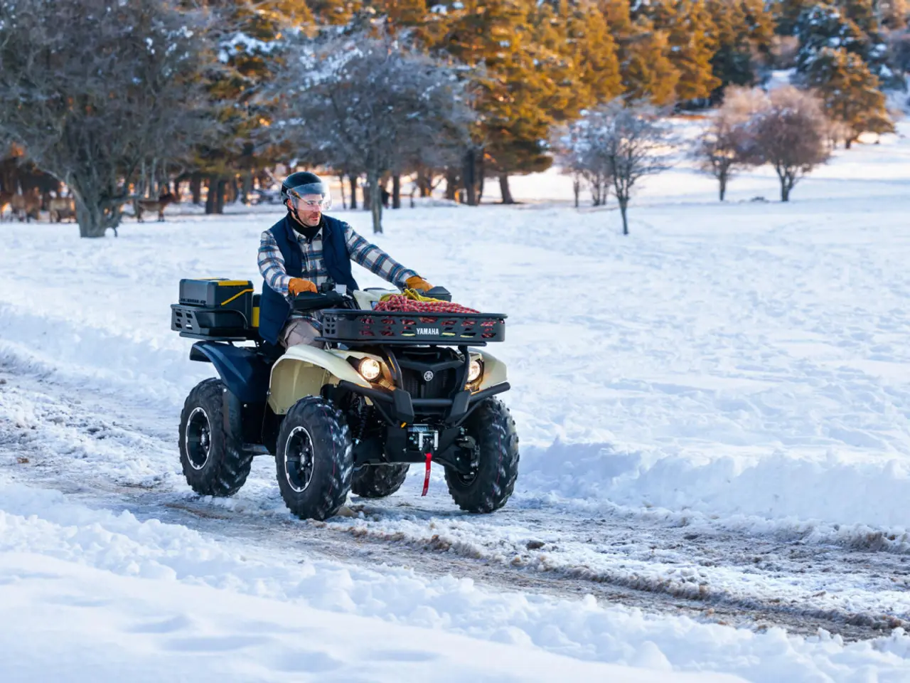 Billede 6 - Yamaha Kodiak 700 EPS Kiwami - Traktor
