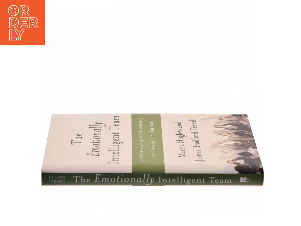Billede 2 - The emotionally intelligent team : Understanding and developing the behaviors of success (Bog)