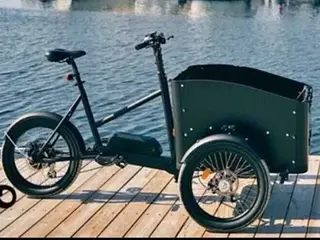 Pensionist SØGER BILLIG Elladcykel pga sygdom m SK