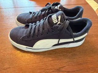 Puma 41