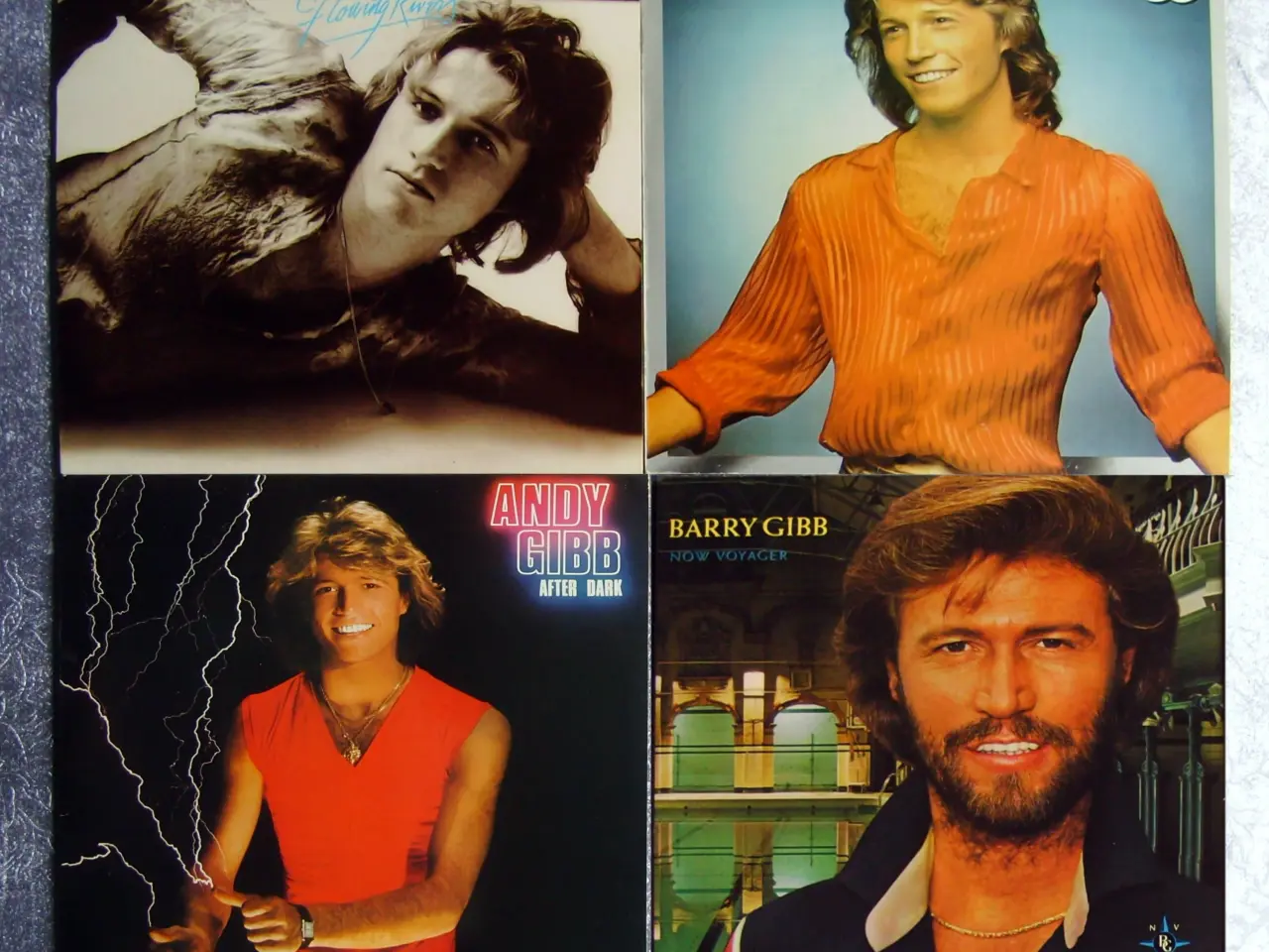Billede 1 - Andy + Barry Gibb LP'er og hit-single
