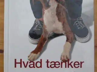 Hvad tænker min hund