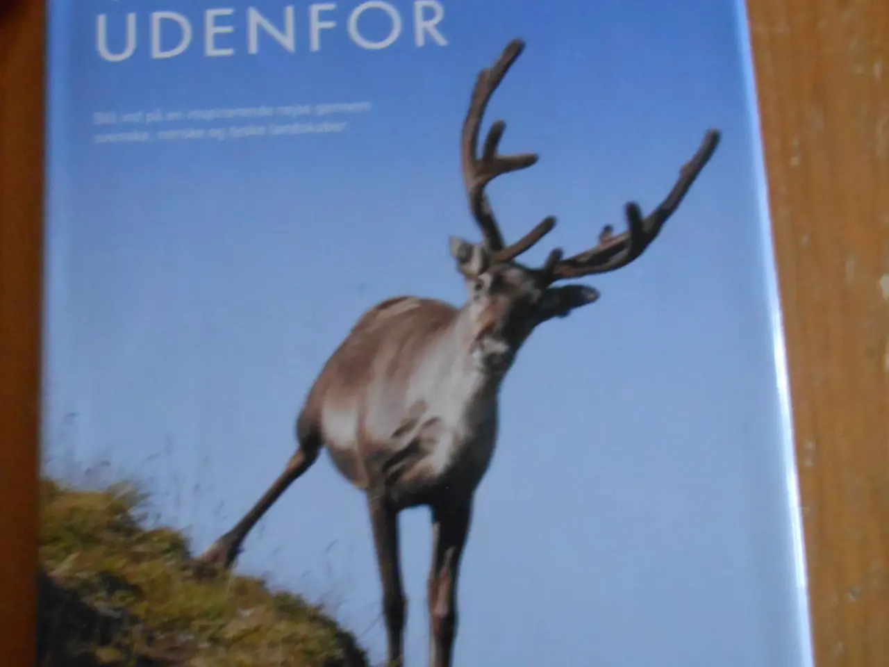 Billede 5 - Gode Opskrift Bøger. Og andre Bøger.