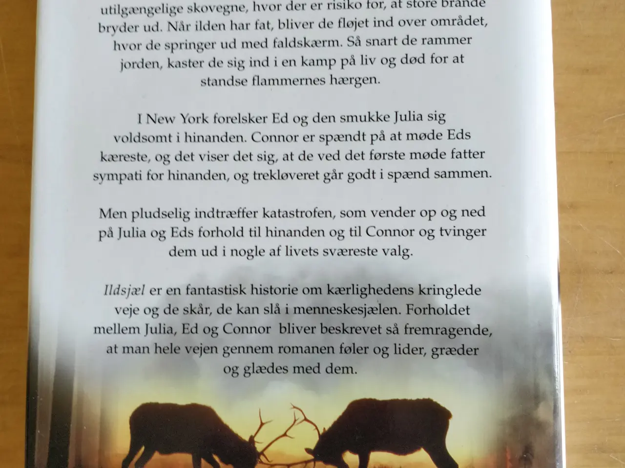 Billede 4 - Ildsjæl