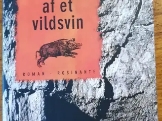 I skikkelse af et vildsvin af Lawrence Norfolk (C1