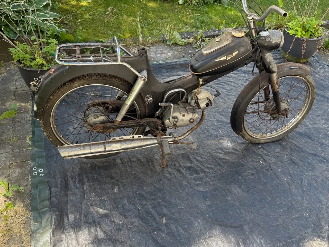 Billede 4 - Puch ms50 Nummermatch