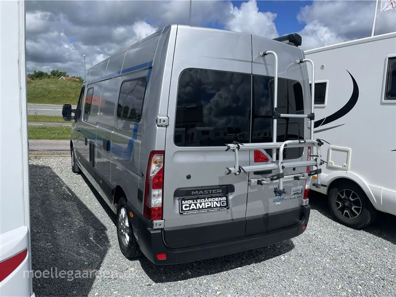 Billede 3 - 2020 - Ahorn VAN 620