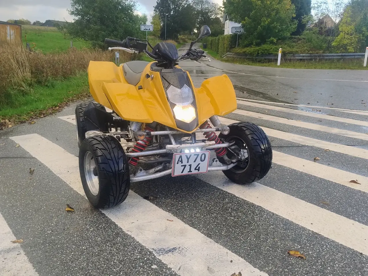 Billede 6 - Hyusong te 450 ATV på bil plader 