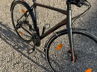 KOGA Colmaro Sports ny