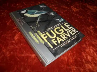 Fugle i farver, Tommy Dybbro