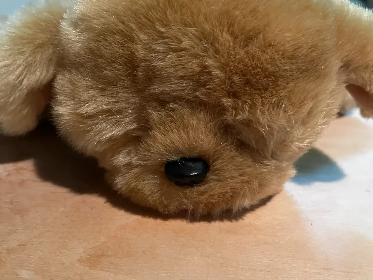 Billede 2 - Lille bamse hund