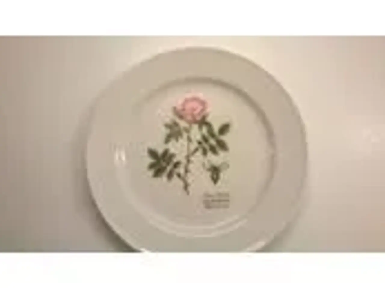 Billede 1 - Faxe Platter - Flora Danica - RETRO