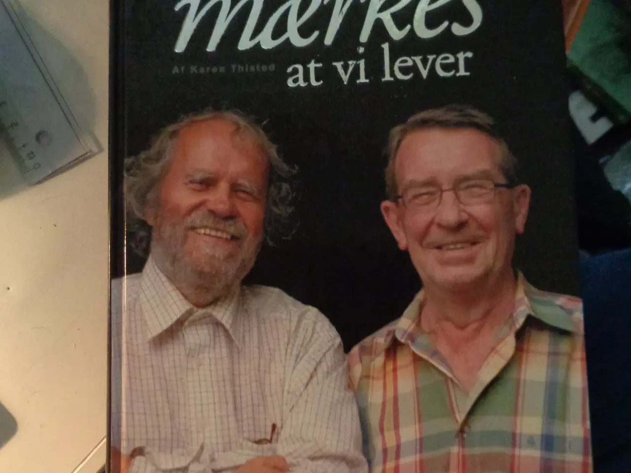 Billede 1 - Det skal mærkes at vi lever