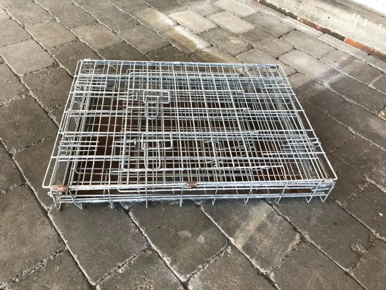 Billede 4 - Transportbur hund