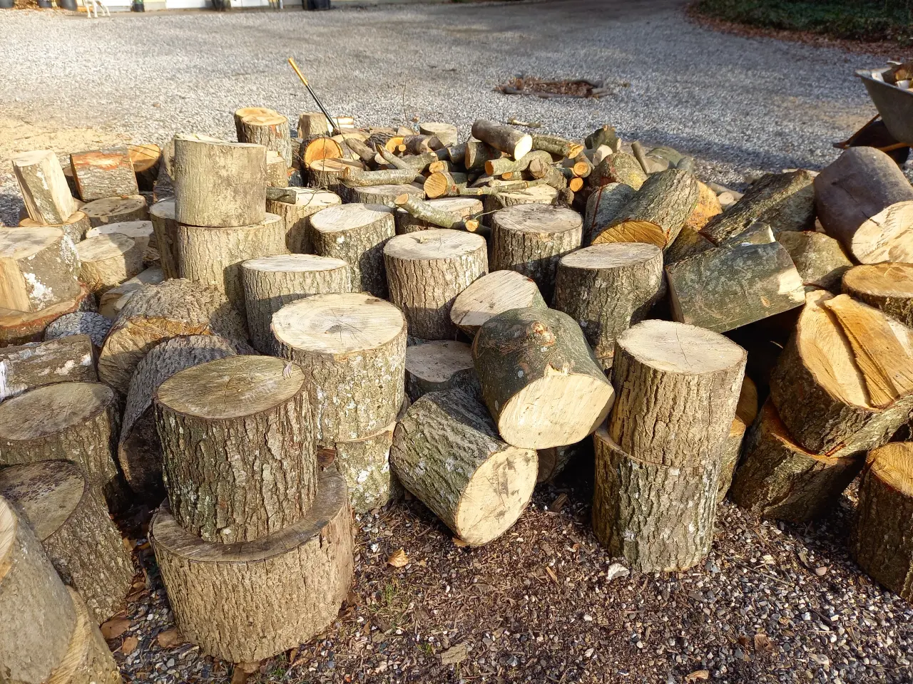 Billede 2 - Masser af træstubbe