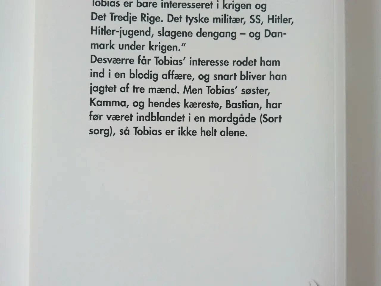 Billede 2 - Blodets hemmelighed Af Lene Møller Jørgensen
