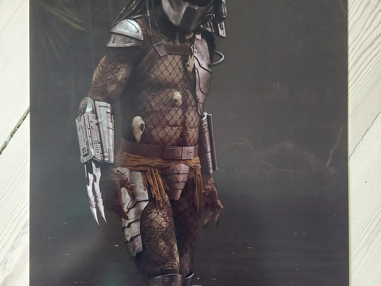 Billede 1 - Ubrugt Predator Plakat – Classic Sci-Fi Full Body