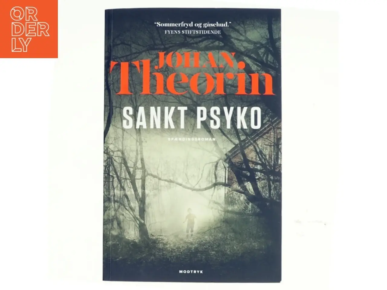 Billede 1 - Sankt Psyko : spændingsroman af Johan Theorin (Bog)