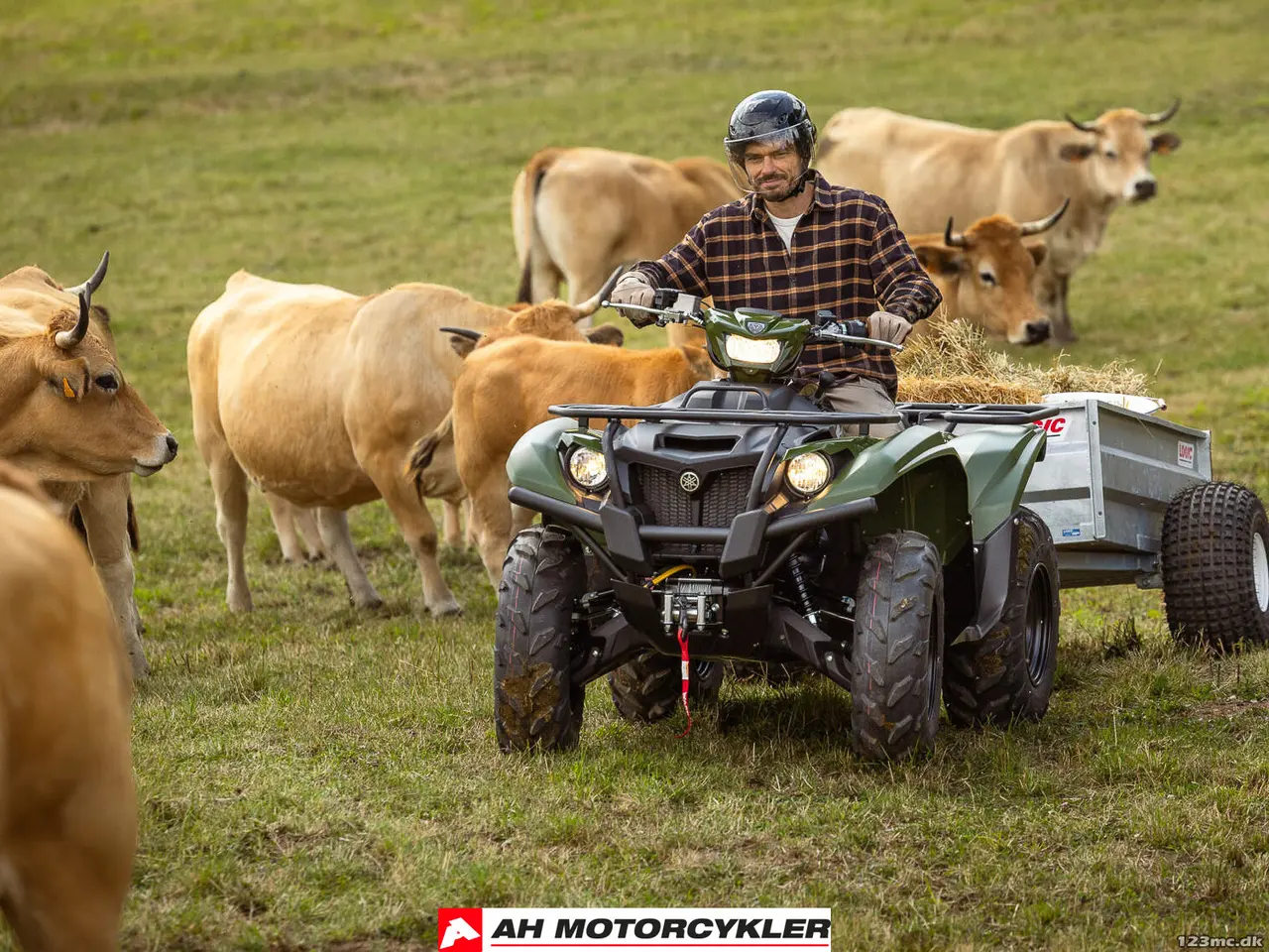 Billede 17 - Yamaha Kodiak 700 EPS Traktor