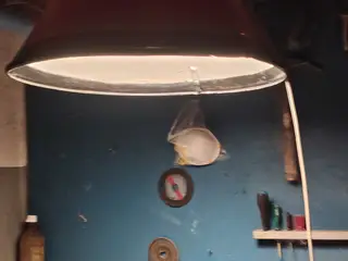 lampe reto grissevmmer