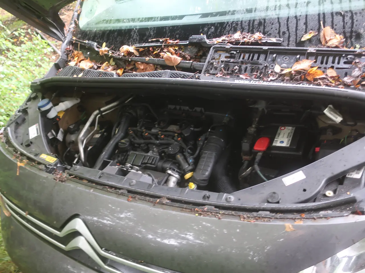 Billede 34 - Varebil CITROËN BERLINGO VAN 1,5 BLUEHDI 130 HK L2 EAT8