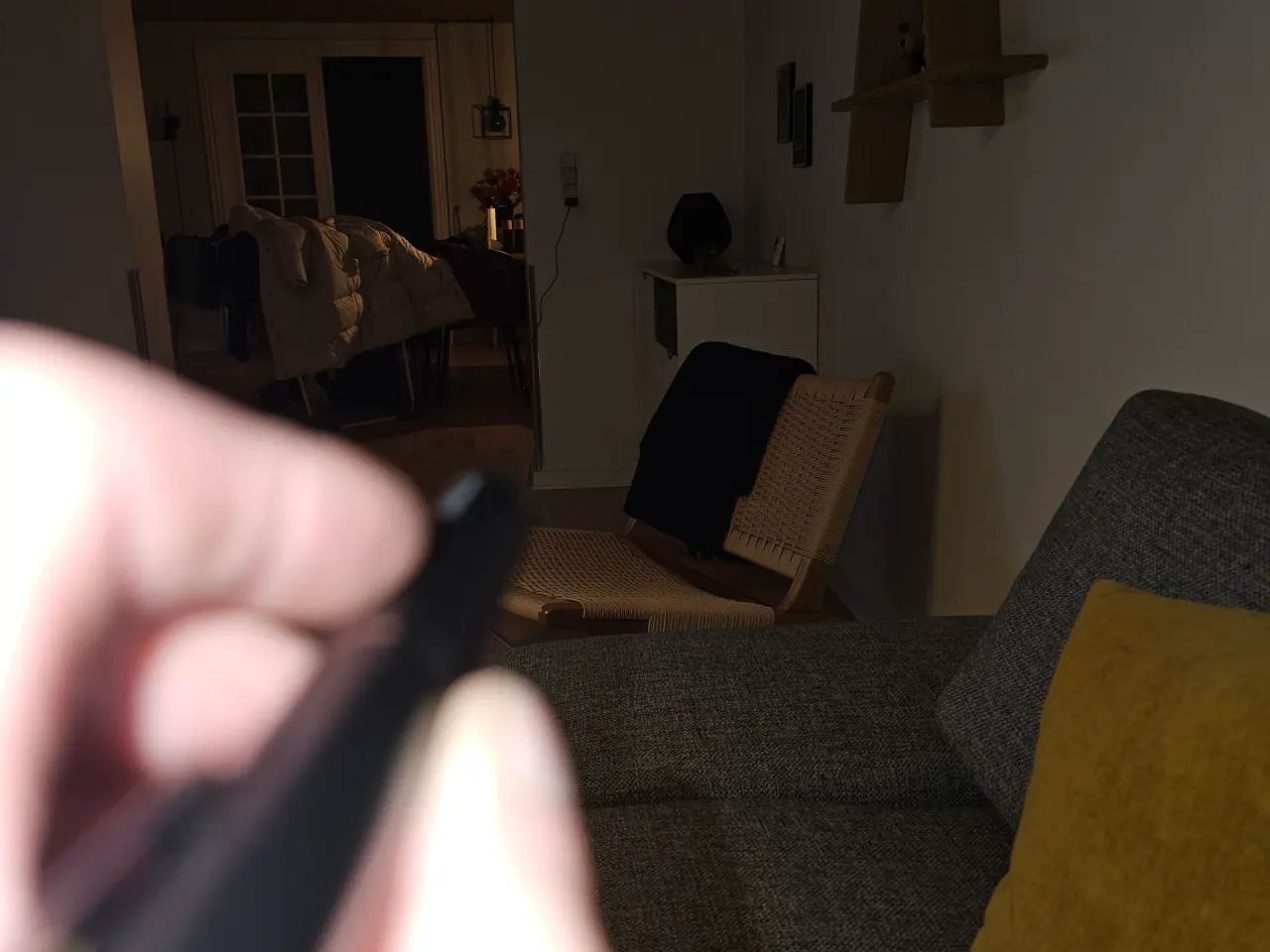 Billede 5 - laserpointer professionel 