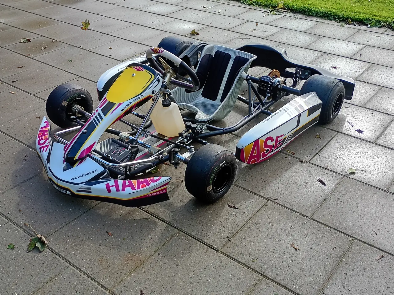 Billede 1 - Haase