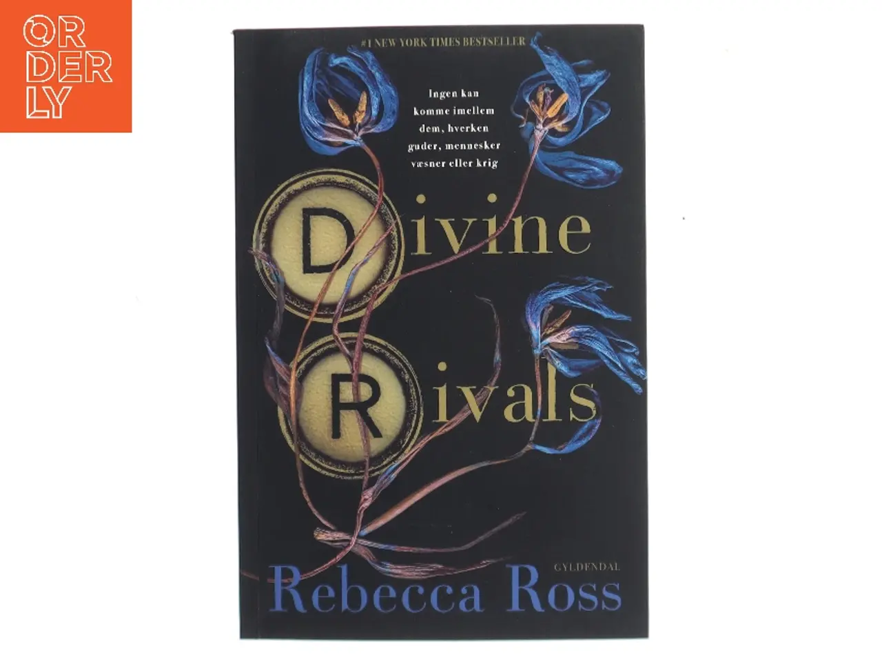 Billede 1 - Divine rivals af Rebecca Ross (Bog)