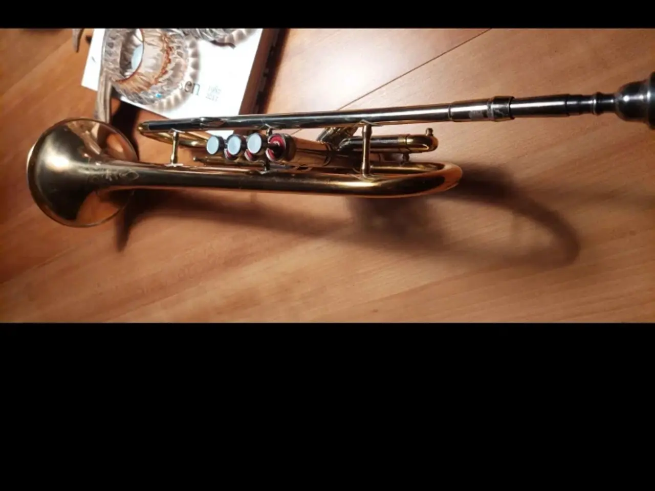 Billede 2 - Parrot trumpet 🎺