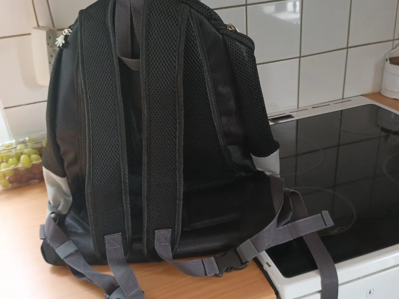 Billede 3 - Rygsæk til transport af hund