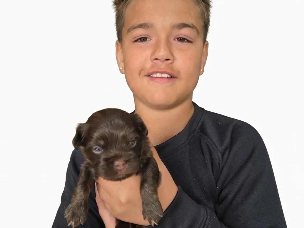 Billede 10 - Bichon havanais hvalpe