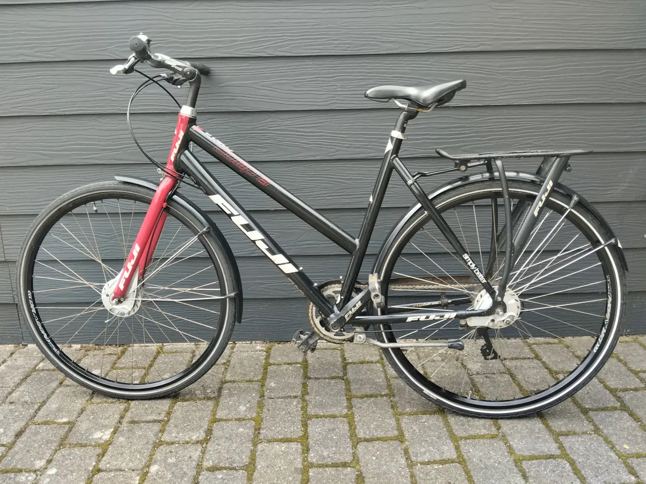 Billede 1 - Fuji Dame