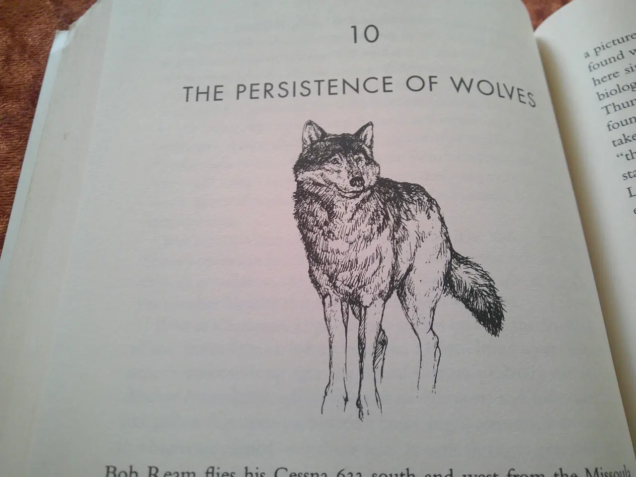 Billede 3 - The company of wolves, Peter Steinhart,
