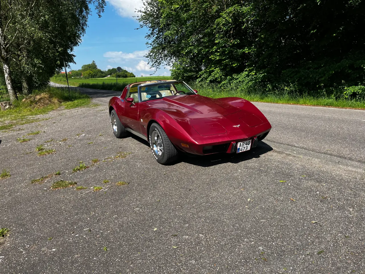 Billede 2 -  Chervolet Corvette C3 Stingray 1979 5,7 V8
