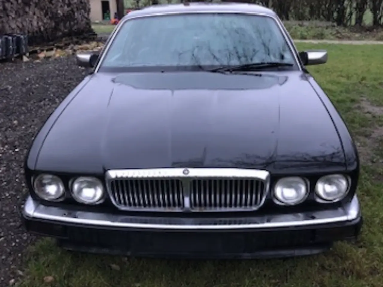 Billede 1 - Veteran