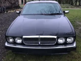Veteran
