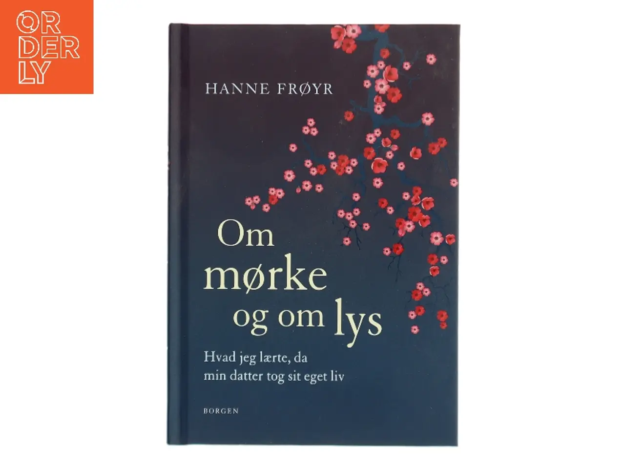 Billede 1 - Om mørke og om lys : hvad jeg lærte, da min datter tog sit eget liv af Hanne Frøyr (Bog)