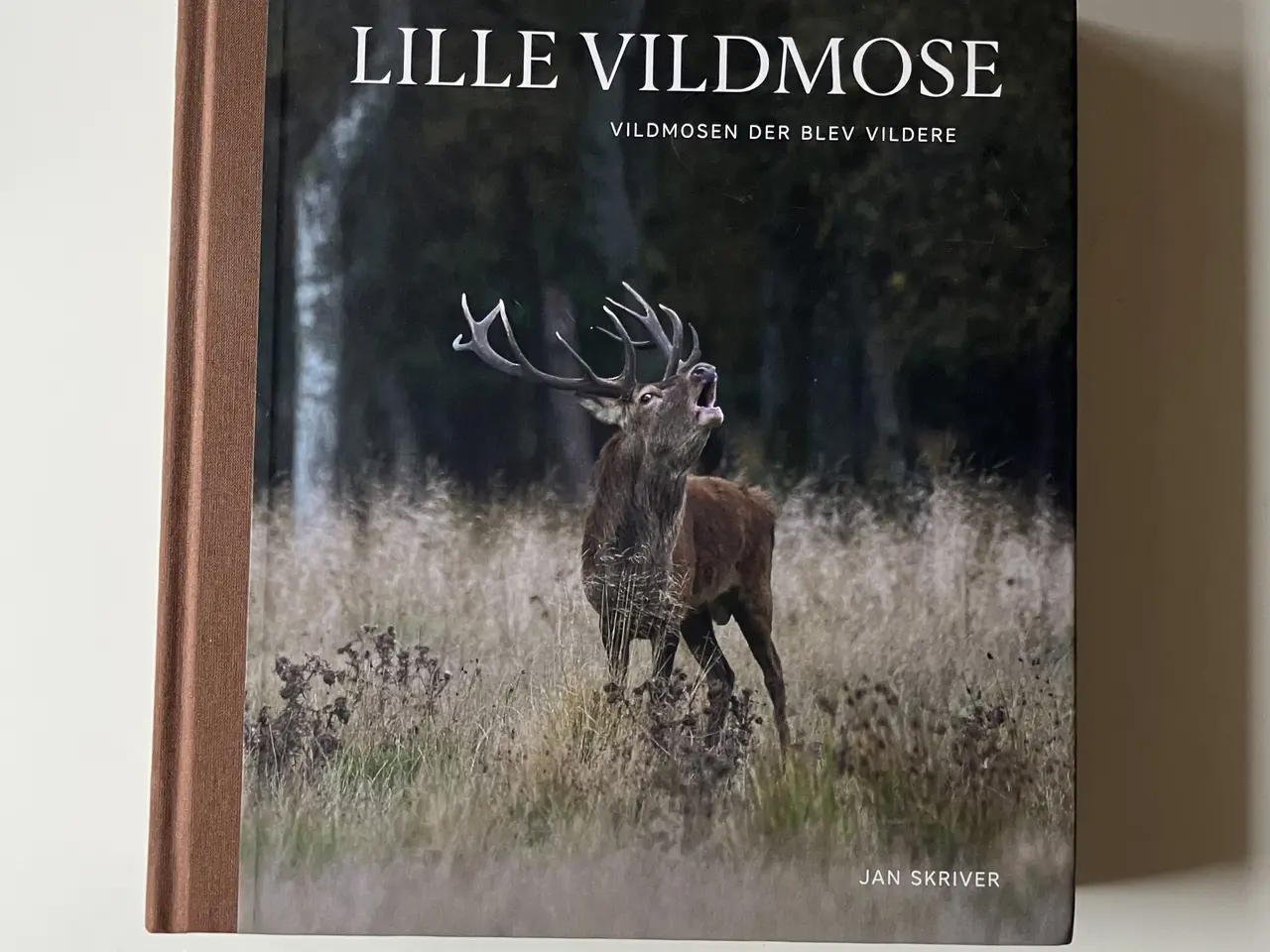 Billede 1 - Lille Vildmose - vildmosen der b... Af Jan Skriver