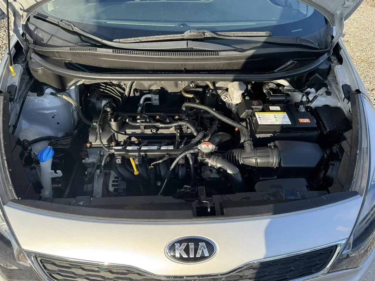 Billede 11 - Kia Rio 1,2 World Cup 85HK 5d