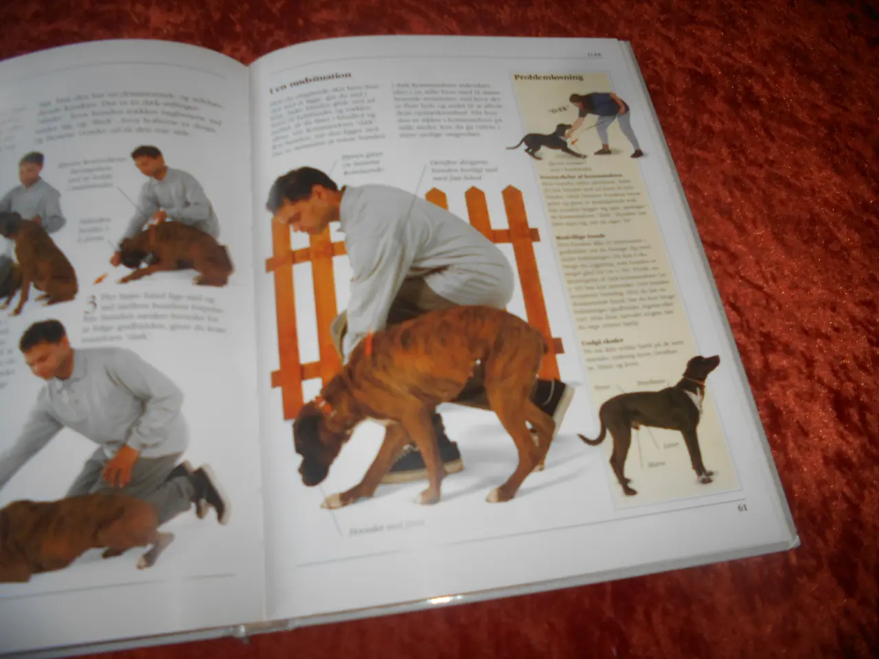 Billede 5 - Håndbog i hundeopdragelse, Bruce Fogle