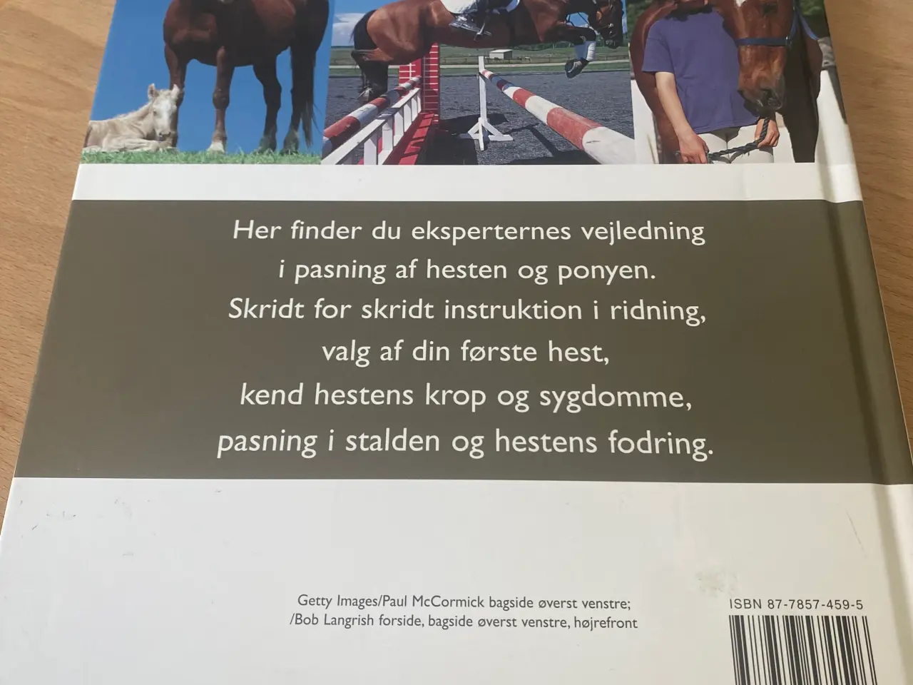 Billede 2 - Bog - alt om hesten