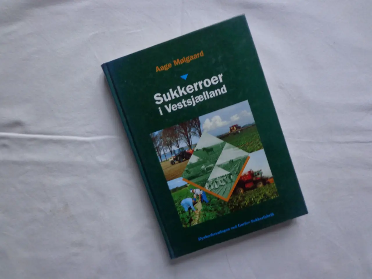 Billede 1 - Sukkerroer i Vestsjælland :