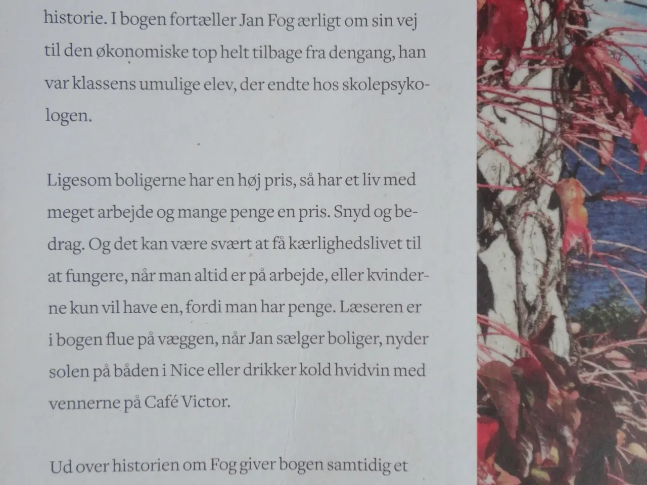 Billede 4 - Jan Fog :