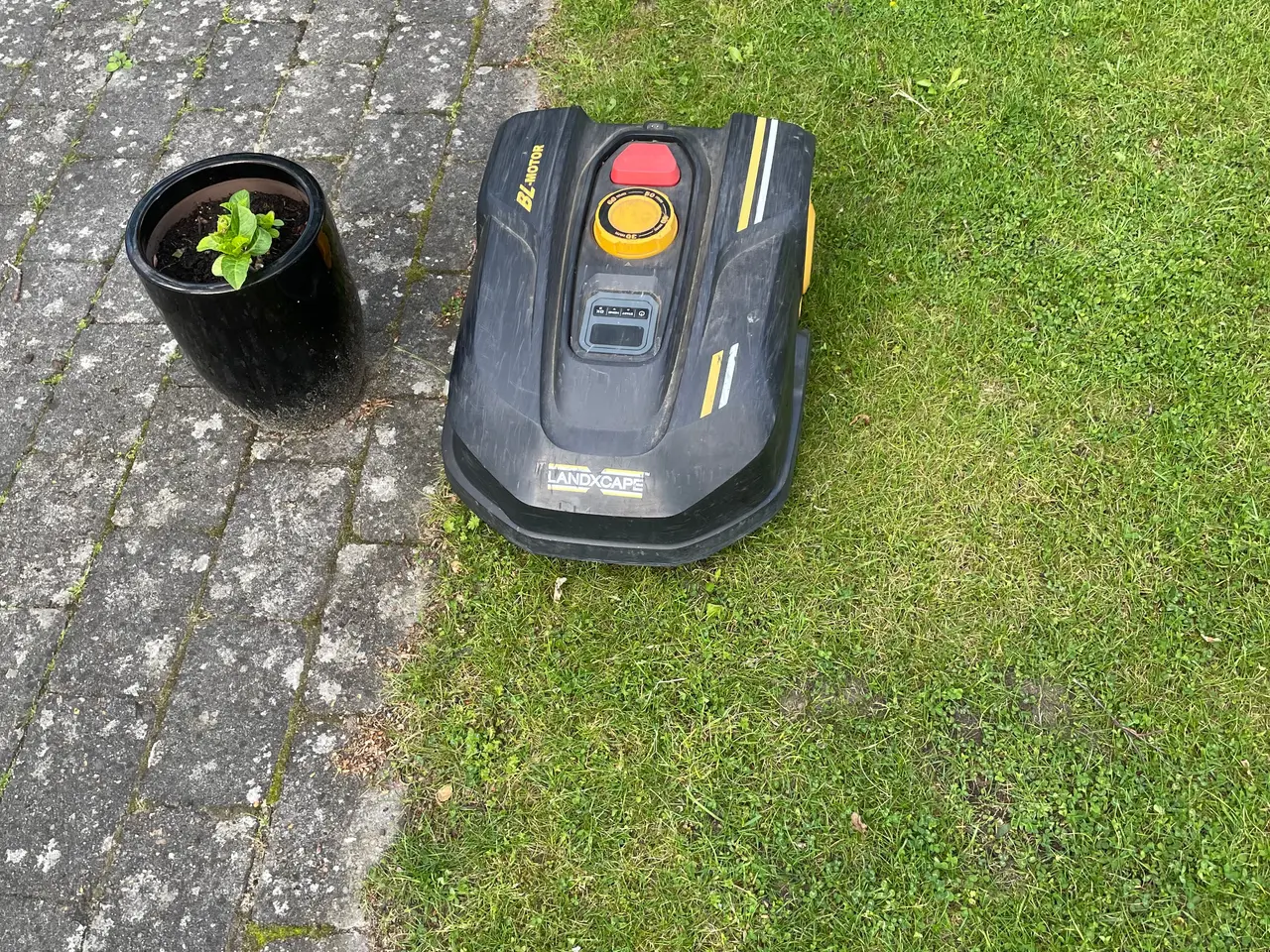 Billede 1 - Landxcape Robotplæneklipper
