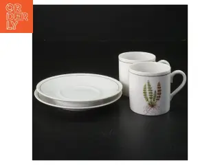 Kaffekopper og underkopper fra Tirschenreuth (str. Ø 13xh7 cm)