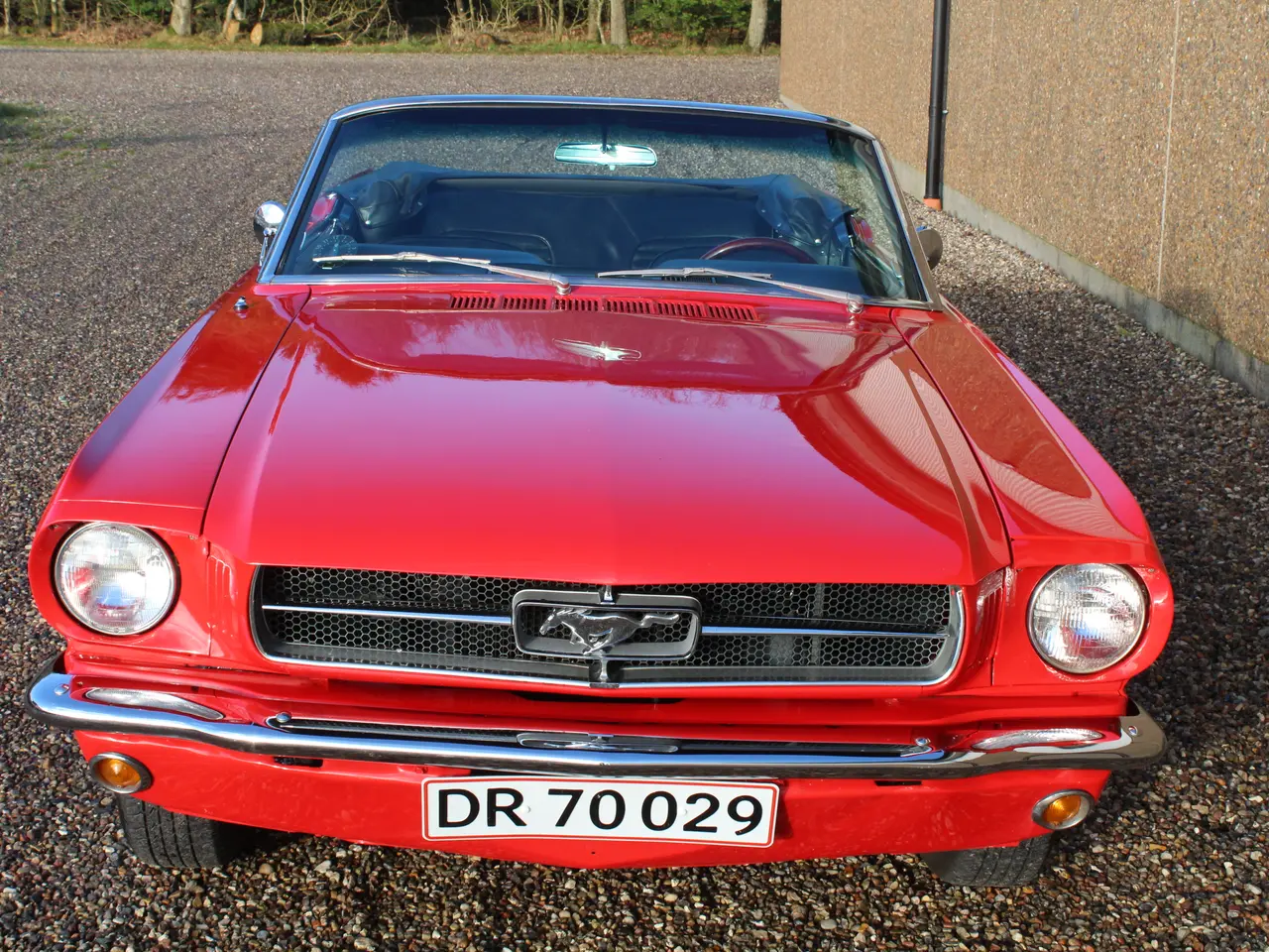 Billede 13 - Ford Mustang Cab 1965